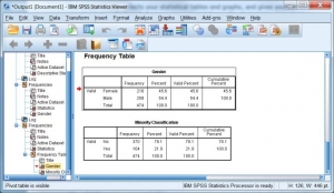 SPSS Statistics картинка №1